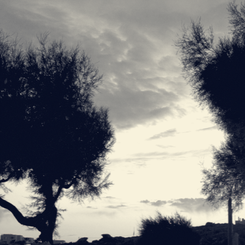 eleonorsolano_cuentoscortos